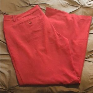 Burgundy Dress Pants